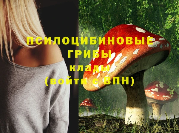 скорость Елизово