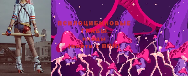 скорость Елизово