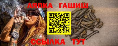 твердый Гатчина