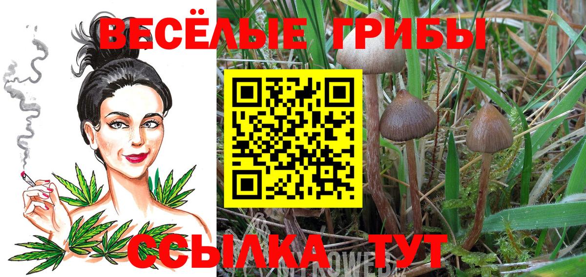 Галлюциногенные грибы MAGIC MUSHROOMS  Псилоцибиновые грибы Magic Shrooms  Вход с VPN  Рузаевка 